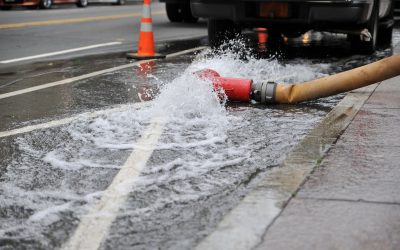 Victoria: Making Urban Living Hygienic with Regular Line Flushing