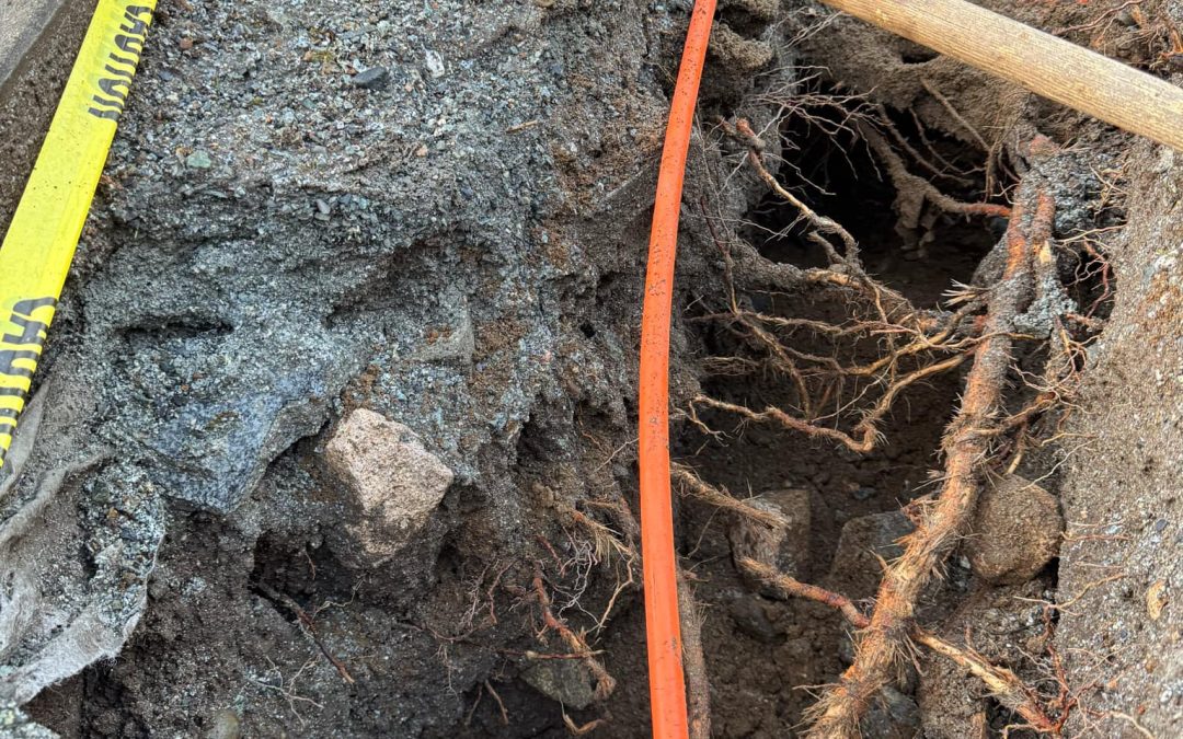 What Is Shoring In Construction? Essential Support For Construction Projects