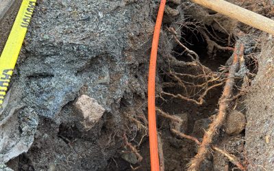 What Is Shoring In Construction? Essential Support For Construction Projects